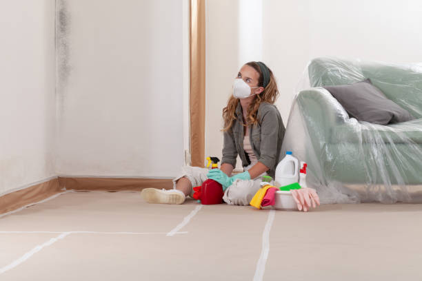 Reliable Mold Remediation contractor in Waverly, TN by 24 Hour Mold Removal